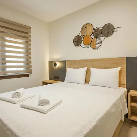 Anesis 3*