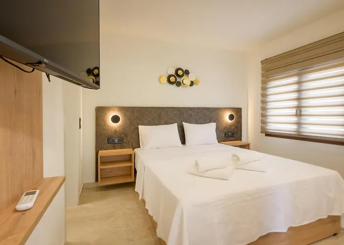 Anesis 3*