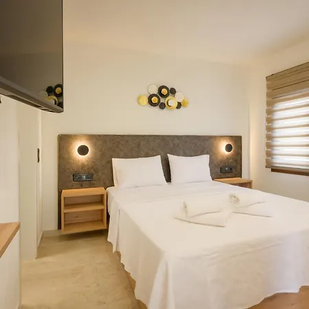 Anesis 3*